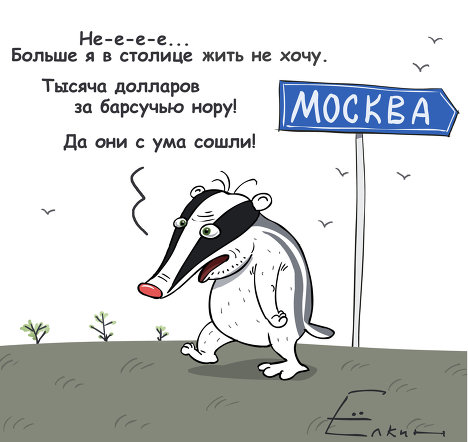 Вот так я делаю полоски для квиллинга Страна Мастеров Вести. Ru: Какими бывают типичные лица святых-женщин