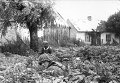 Немецкие солдаты в пригороде Варшавы. Август 1944 Немецкие солдаты в пригороде Варшавы. Август 1944