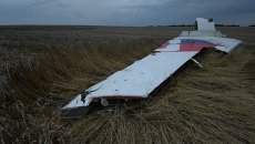 Крушение малайзийского Boeing на Украине. Архивное фото Крушение малайзийского Boeing на Украине. Архивное фото