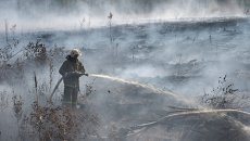 Сотрудник МЧС РФ во время тушения торфяных пожаров недалеко от населенного пункта Денисово в Тверской области Сотрудник МЧС РФ во время тушения торфяных пожаров недалеко от населенного пункта Денисово в Тверской области