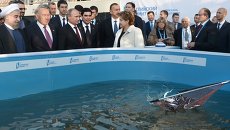 Четвертый Каспийский саммит Четвертый Каспийский саммит