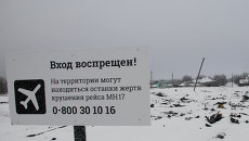Место крушения малайзийского Boeing 777. Архивное фото Место крушения малайзийского Boeing 777. Архивное фото