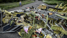 На месте крушения малайзийского самолета Boeing, выполнявшего рейс MH17 Амстердам — Куала-Лумпур. Архивное фото На месте крушения малайзийского самолета Boeing, выполнявшего рейс MH17 Амстердам — Куала-Лумпур. Архивное фото