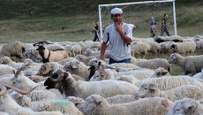 Регионы России. Республика Дагестан Регионы России. Республика Дагестан