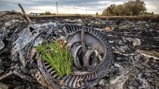 Сбор тел погибших на месте крушения малайзийского лайнера Boeing 777 в районе Шахтерска. Архивное фото Сбор тел погибших на месте крушения малайзийского лайнера Boeing 777 в районе Шахтерска. Архивное фото