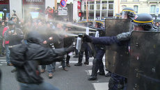Полиция слезоточивым газом разогнала митингующих в защиту экологии в Париже Полиция слезоточивым газом разогнала митингующих в защиту экологии в Париже