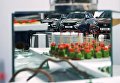 Автомобили новой модели АвтоВАЗа LADA X-Ray на торжественной церемонии запуска производства в Самаре. Автомобили новой модели АвтоВАЗа LADA X-Ray на торжественной церемонии запуска производства в Самаре.