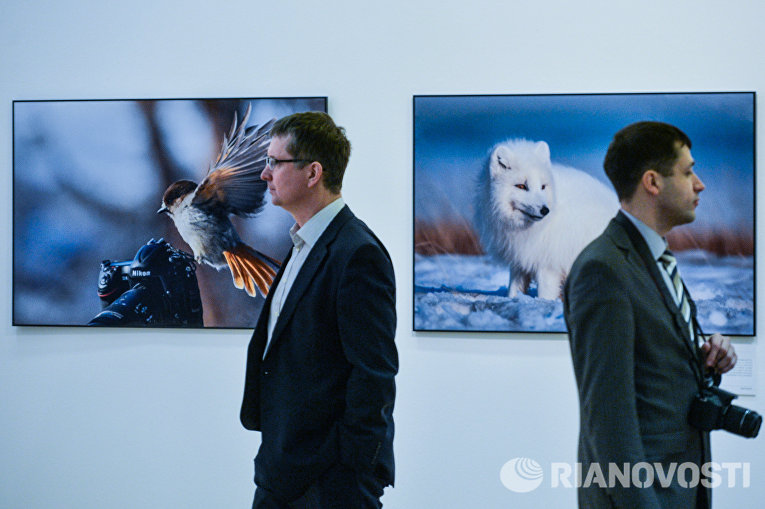 Посетители на фотовыставке, которая открылась в рамках III Общероссийского фестиваля природы Первозданная Россия в Центральном Доме Художника в Москве Посетители на фотовыставке, которая открылась в рамках III Общероссийского фестиваля природы Первозданная Россия в Центральном Доме Художника в Москве