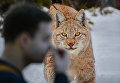 Посетители на фотовыставке, которая открылась в рамках III Общероссийского фестиваля природы Первозданная Россия в Центральном Доме Художника в Москве Посетители на фотовыставке, которая открылась в рамках III Общероссийского фестиваля природы Первозданная Россия в Центральном Доме Художника в Москве