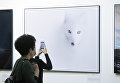 Посетители на фотовыставке, которая открылась в рамках III Общероссийского фестиваля природы Первозданная Россия в Центральном Доме Художника в Москве Посетители на фотовыставке, которая открылась в рамках III Общероссийского фестиваля природы Первозданная Россия в Центральном Доме Художника в Москве