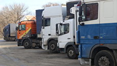 Грузовики в очереди на пересечение российско-украинской границы. Архивное фото Грузовики в очереди на пересечение российско-украинской границы. Архивное фото