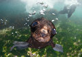 Шорт-лист Sony World Photography Awards. Фотограф Andrey Narchuk, Россия Шорт-лист Sony World Photography Awards. Фотограф Andrey Narchuk, Россия