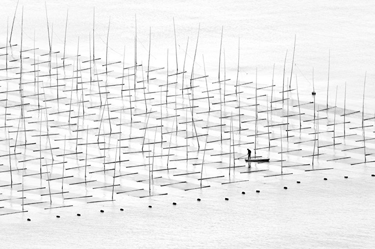 Шорт-лист Sony World Photography Awards. Фотограф Tugo Cheng, Китай Шорт-лист Sony World Photography Awards. Фотограф Tugo Cheng, Китай