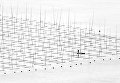 Шорт-лист Sony World Photography Awards. Фотограф Tugo Cheng, Китай Шорт-лист Sony World Photography Awards. Фотограф Tugo Cheng, Китай