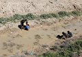 Дети набирают воду из реки в Багдаде, Ирак Дети набирают воду из реки в Багдаде, Ирак