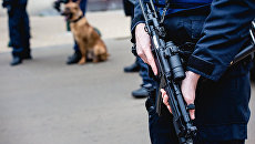 Полиция Брюсселя Полиция Брюсселя