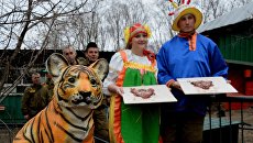 Работники сафари-парка идут поздравлять Амура и Тайгу с днем рождения Работники сафари-парка идут поздравлять Амура и Тайгу с днем рождения