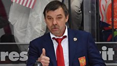 Главный тренер сборной России Олег Знарок. Архивное фото Главный тренер сборной России Олег Знарок. Архивное фото