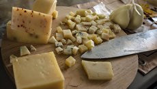 Сырная продукция на сырном фестивале в Истринском районе Московской области. Архивное фото Сырная продукция на сырном фестивале в Истринском районе Московской области. Архивное фото