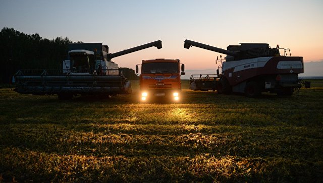 Российская Федерация собрала 111 млн. тонн зерна — сельскохозяйственный триумф