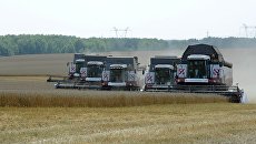 Уборка зерновых. Архивное фото Уборка зерновых. Архивное фото