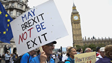Акция протеста против результатов Brexit в Лондоне Акция протеста против результатов Brexit в Лондоне