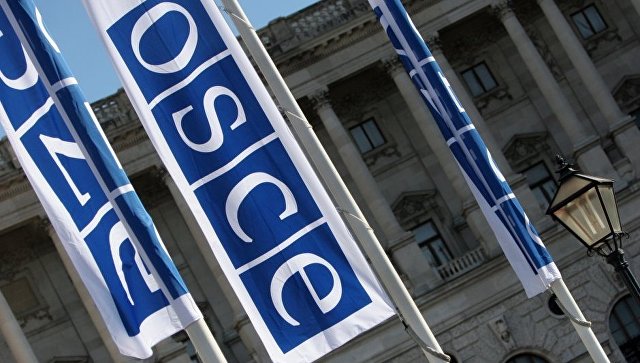 Флаги с логотипом ОБСЕ в Вене. Архивное фото