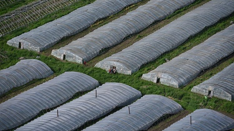 Новости липецкой области измалковского района липецкой области
