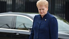 Президент Литвы Даля Грибаускайте на саммите НАТО в Варшаве Президент Литвы Даля Грибаускайте на саммите НАТО в Варшаве