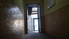 Колония. Архивное фото Колония. Архивное фото