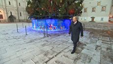 Путин осмотрел главную новогоднюю ель и археологические шурфы в Кремле Путин осмотрел главную новогоднюю ель и археологические шурфы в Кремле