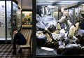 Посетители в зоологическом музее Санкт-Петербурга Посетители в зоологическом музее Санкт-Петербурга