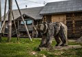 Деревянная фигура медведя на детской площадке в деревне Кинерма в Карелии Деревянная фигура медведя на детской площадке в деревне Кинерма в Карелии