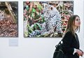 IV фестиваль Первозданная Россия IV фестиваль Первозданная Россия