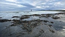 Курильские острова. Архивное фото Курильские острова. Архивное фото