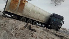 Под Оренбургом в ДТП попал грузовик с тиграми Под Оренбургом в ДТП попал грузовик с тиграми