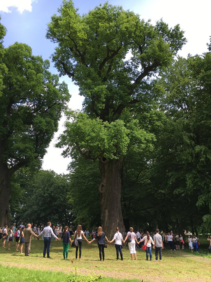 Работа фотографа Rafal Godek Дуб Юзеф для 2017 European Tree of the Year Работа фотографа Rafal Godek Дуб Юзеф для 2017 European Tree of the Year