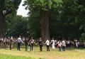 Работа фотографа Rafal Godek Дуб Юзеф для 2017 European Tree of the Year Работа фотографа Rafal Godek Дуб Юзеф для 2017 European Tree of the Year