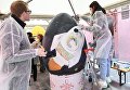 Участники расписывают пасхальные яйца на арт-фестивале для журналистов МедиаПасха в Москве Участники расписывают пасхальные яйца на арт-фестивале для журналистов МедиаПасха в Москве