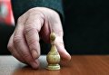 Полая костяная шахматная фигуры слона, в которой были найдены серебряные монеты ручной чеканки времен Ивана Грозного (XVI век), во время показа уникальных археологических находок, обнаруженных в начале улицы Пречистенка в рамках благоустройства столицы по программе Моя улица Полая костяная шахматная фигуры слона, в которой были найдены серебряные монеты ручной чеканки времен Ивана Грозного (XVI век), во время показа уникальных археологических находок, обнаруженных в начале улицы Пречистенка в рамках благоустройства столицы по программе Моя улица