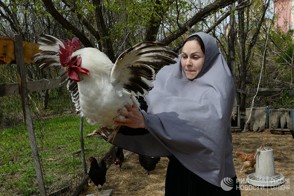 Монахиня в курятнике женского монастыря Святых Первоверховных апостолов Петра и Павла в селе Петропавловка Хабаровского края Монахиня в курятнике женского монастыря Святых Первоверховных апостолов Петра и Павла в селе Петропавловка Хабаровского края