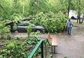 Сломанное ураганом дерево во дворе жилого дома в Москве Сломанное ураганом дерево во дворе жилого дома в Москве