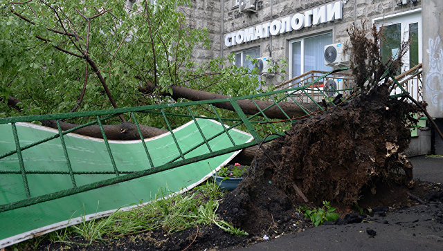 Поваленные ураганом деревья, во дворе жилого дома в Москве