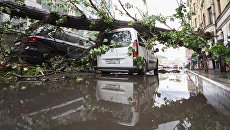 Последствия шквалистого ветра в Москве. 29 мая 2017. Архивное фото Последствия шквалистого ветра в Москве. 29 мая 2017. Архивное фото