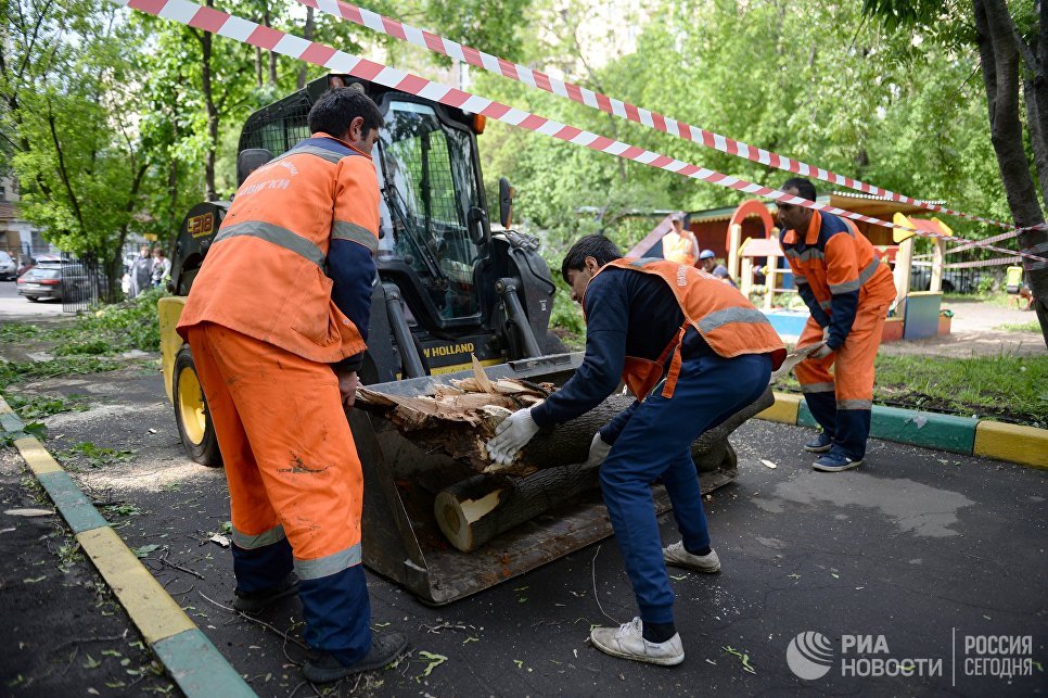 Работники коммунальных служб убирают поваленные деревья в одном из дворов Москвы Работники коммунальных служб убирают поваленные деревья в одном из дворов Москвы