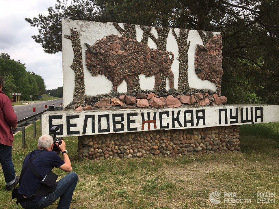 Беловежская пуща Беловежская пуща