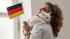 Кот-оракул Ахилл предсказывает результат финала Кубка конфедераций Кот-оракул Ахилл предсказывает результат финала Кубка конфедераций