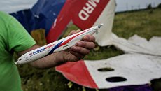Поисковые работы на месте крушения малайзийского лайнера Boeing 777 в Донецкой области. Архивное фото Поисковые работы на месте крушения малайзийского лайнера Boeing 777 в Донецкой области. Архивное фото