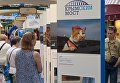 Выставка, посвященная строящемуся мосту через Керченский пролив, открылась в ГУМе. 27 июля 2017 Выставка, посвященная строящемуся мосту через Керченский пролив, открылась в ГУМе. 27 июля 2017
