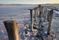 Отдыхающие набирают розовую соль на Чокракском озере в Крыму Отдыхающие набирают розовую соль на Чокракском озере в Крыму